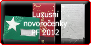 Luxusní novoročenky 2012